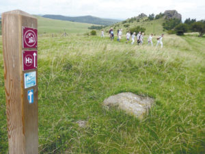 Eine Wandergruppe auf dem Habichtswaldsteig. Foto: Jürgen Hoppe