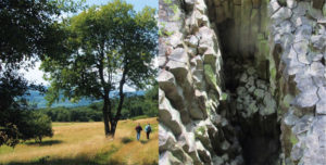 Impressionen aus dem Geo-Naturpark Frau-Holle-Land. Fotos: © Geo-Naturpark Frau-Holle-Land