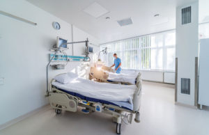 Foto: Vadym Stock/shutterstock.com
